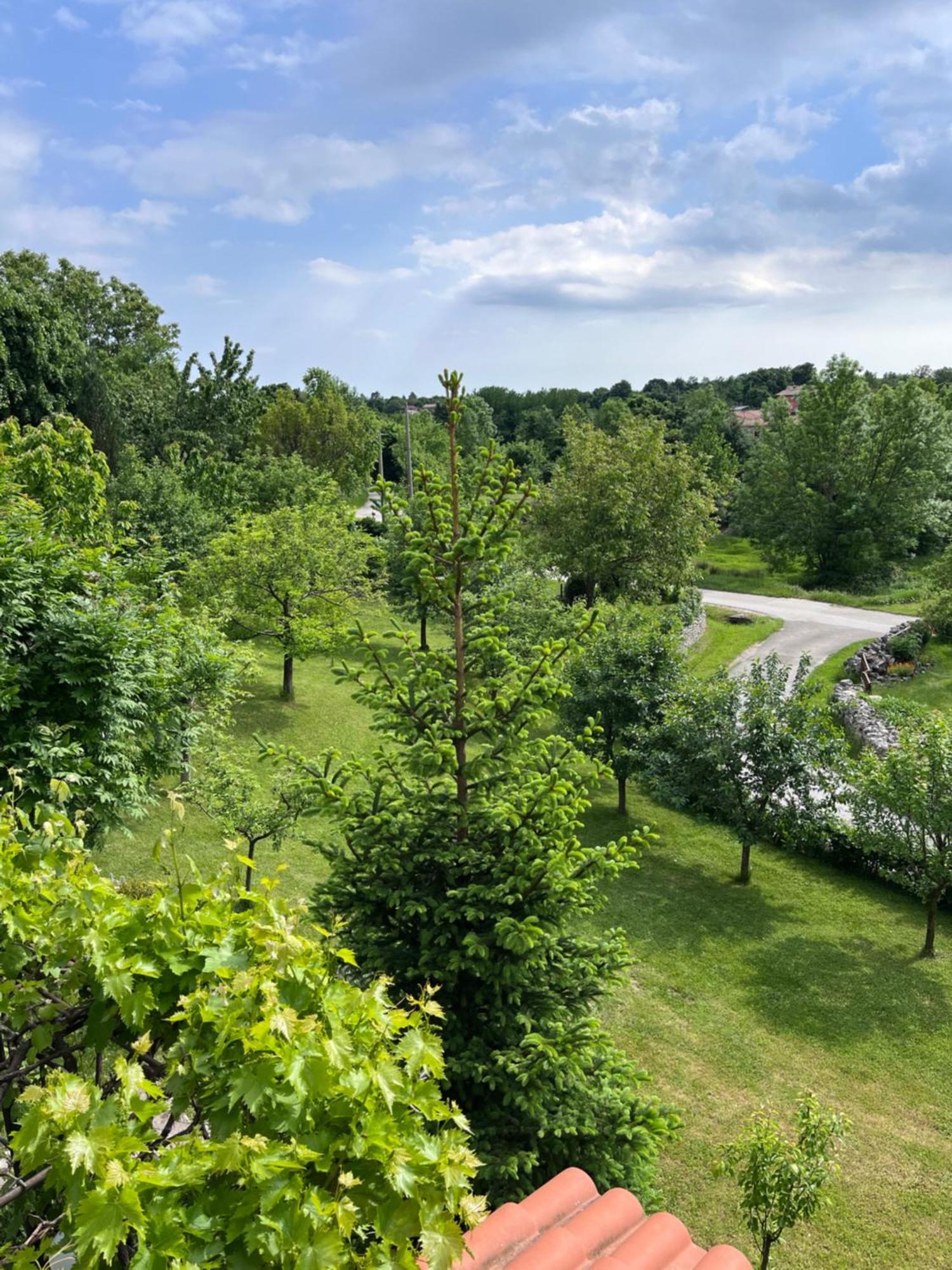 Apartment Vista Lupoglav  Zewnętrze zdjęcie