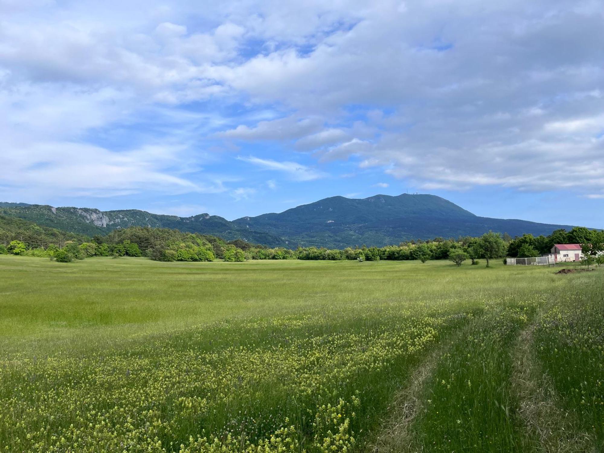 Apartment Vista Lupoglav  Zewnętrze zdjęcie